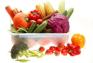 不添加蔗糖并非就是無糖食品 苗木行業中的健康認知誤區