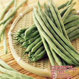 宏鴻農產(chǎn)品集團 以專業(yè)配送引領有機蔬菜新風尚