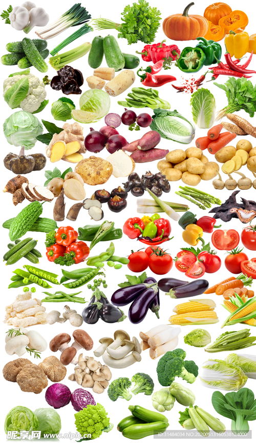 高清多款蔬菜免摳圖片設計圖 賦能創(chuàng)意與效率的視覺素材