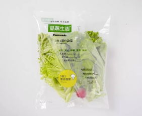 蘇州松下新植物工廠蔬菜正式出貨，科技農業開啟綠色新篇章